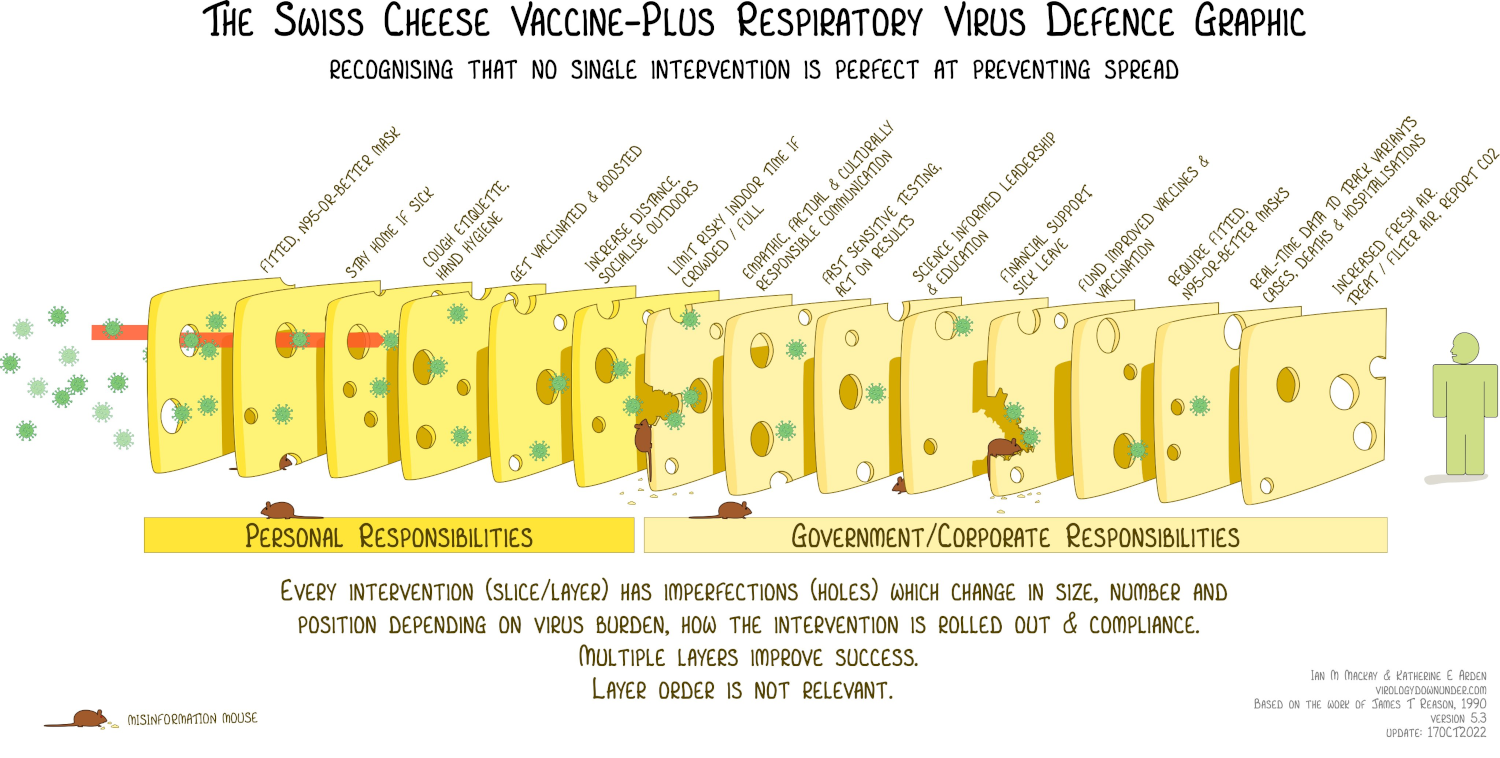 Swiss cheese infographic